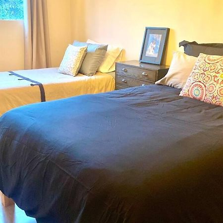 Amazing Cozy Apartment In Condesa Μεξικό Εξωτερικό φωτογραφία