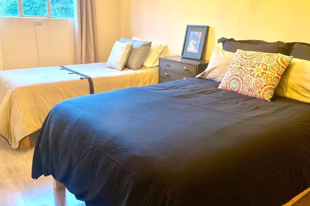Amazing Cozy Apartment In Condesa Μεξικό Εξωτερικό φωτογραφία